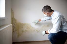 Why You Should Choose Our Mold Remediation Services in Walford, IA